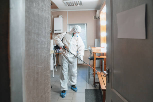 Why You Should Choose Our Mold Remediation Services in Duvall, WA